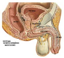 Prostatite - HIPERnatural.COM