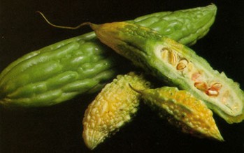 Melonamer (momordicacharantia) - HIPERnatural.COM