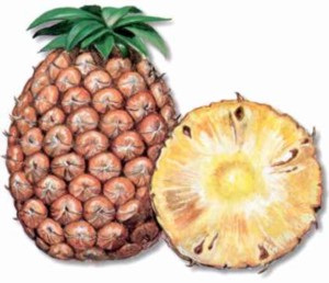 PINEAPPLE () - HIPERnatural.COM