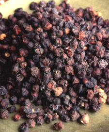 SHISANDRA (schisandrachinensis) - HIPERnatural.COM