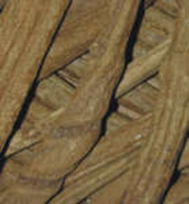 Yohimbe (pausyntaliayohimbe) - HIPERnatural.COM
