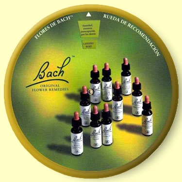 Hojarazo/Hornbeam-20ml-Bach (BACH)