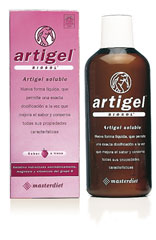 ARTIGELJARABELIMON (Masterdiet)