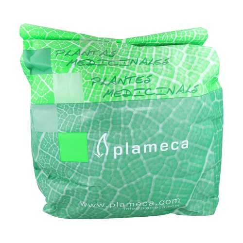 PlantaRosaJeric (Plameca)