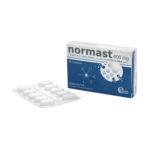 Normast600mg (Epitech)